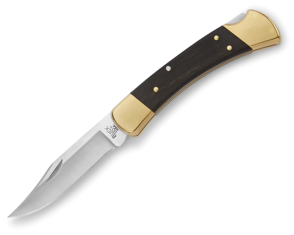 Buck 110 Folding Hunter® Knife