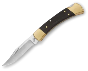 Buck 110 Folding Hunter® Knife