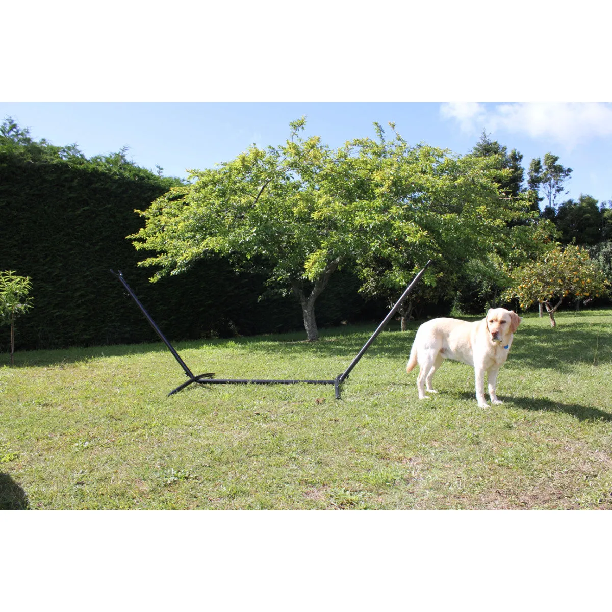 Metal Hammock Stand