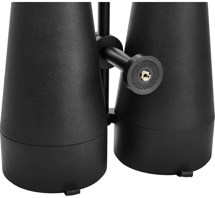 Orion GiantView ED 20x100 Waterproof Astronomy Binoculars